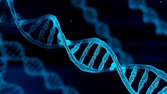 Double helix DNA
